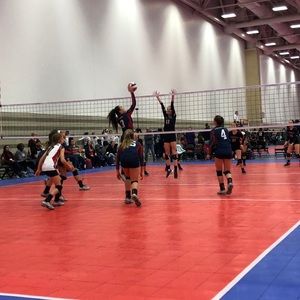 Meet your Posher, Hailey